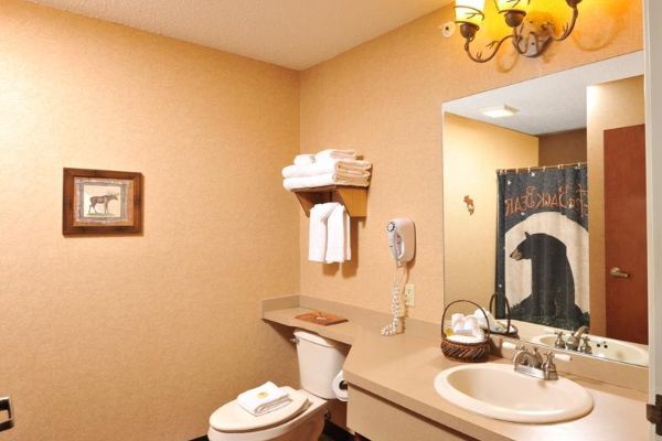 Stoney Creek Hotel Wausau (Mosinee)
